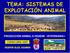 TEMA: SISTEMAS DE EXPLOTACIÓN ANIMAL PRODUCCIÓN ANIMAL E HIGIENE VETERINARIA I
