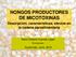 HONGOS PRODUCTORES DE MICOTOXINAS