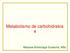 Metabolismo de carbohidratos 4. Marijose Artolozaga Sustacha, MSc
