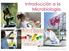 Introducción a la Microbiología. Microbiología General