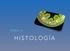 T E M A 3. H I S T O L O G Í A