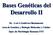Bases Genéticas del Desarrollo II. Dr. J osé A Gutiérrez Bustamante Area de Genética y Biología Molecular y Celular Dpto. de Morfología Humana UNT