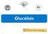 Glucólisis. Dra. Carmen Aída Martínez