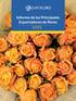 Informe de los Principales Exportadores de flores