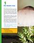 Els éssers vius. Sabem què és la vida? Què estudiaràs. 1 Així som els éssers vius 2 Les cèl lules i els seus tipus 3 La descoberta de les cèl lules