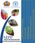 MPP MARCO DE PROGRAMACIÓN DE PAÍS FAO-BOLIVIA (2013/2017) Presupuesto estimado para la implementación del MPP
