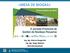 «MESA DE BIOGAS» Ing. Agr. Marcos Bragachini Ing. Agr. Diego Mathier INTA EEA Manfredi