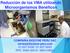 Reducción de los VMA utilizando Microorganismos Benéficos