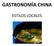 GASTRONOMÍA CHINA ESTILOS LOCALES