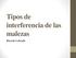 Tipos de interferencia de las malezas. Ricardo Labrada