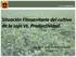 Situación Fitosanitaria del cultivo de la soja Vs. Productividad. Ing. Agro. MSci Willy Chiaravalle TAFILAR S.A.