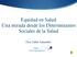 Equidad en Salud Una mirada desde los Determinantes Sociales de la Salud. Dra Lidia Amarales