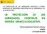 LA PROTECCIÓN DE LAS VARIEDADES VEGETALES EN ESPAÑA. MARCO LEGISLATIVO.