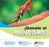 PALUDISMO! El objetivo del folleto es informar a la población sobre las medidas preventivas y de tratamiento de la malaria.
