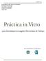Práctica in Vitro. para determinar la Longitud Electrónica de Trabajo