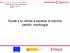Ayuda a tu cliente a sacarse el máximo partido: morfología