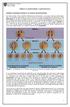 MÓDULO II: ANEUPLOIDÍAS Y GAMETOGÉNESIS.