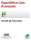 OpenOffice Calc Avanzado HOJAS de CÁLCULO