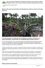 Nuevo derrame de petróleo de Pluspetrol afecta reserva Pacaya Samiria