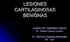 LESIONES CARTILAGINOSAS BENIGNAS