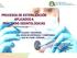 PROCESOS DE ESTERILIZACIÓN APLICADOS A PRÁCTICAS ODONTOLÓGICAS CALIDAD Y SEGURIDAD UNA VISIÓN DE ESPERANZA Y COMPROMISO QUE NO PUEDE ESPERAR..