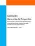 Colección Gerencia de Proyectos Formulación y Evaluación de Proyectos Unidad de Aprendizaje- Estudio de Mercados Especificaciones del Trabajo