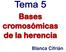 Bases cromosómicas de la herencia. Blanca Cifrián
