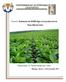 Proyecto: Evaluación de VIUSID-Agro en la producción de Soya (Glycine max)