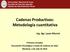 Cadenas Productivas: Metodología cuantitativa