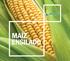Delagro selecciona semillas de maíz con un alto potencial genético, adaptadas a todas las condiciones. Apostamos por variedades probadas, ofrecemos