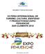REGLAMENTO Y FICHA DE POSTULACIÓN VII FERIA INTERNACIONAL DE TURISMO, CULTURA, IDENTIDAD Y PRODUCTIVIDAD EXPO- PEHUENCHE SAN CLEMENTE 2018