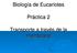 Biología de Eucariotes. Práctica 2. Transporte a través de la membrana