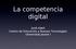 La competencia digital. Jordi Adell Centro de Educación y Nuevas Tecnologías Universitat Jaume I