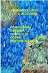 HIDROMETALURGI A DEL COBRE PLANTA PARA OBTENER SULFATO DE COBRE PENTAHIDRATADO