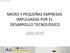 MICRO Y PEQUEÑAS EMPRESAS IMPULSADAS POR EL DESARROLLO TECNOLÓGICO CASO AHYG