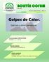 BOLETÍN COFAM Edición Digital. Golpes de Calor. Qué son y cómo prevenirlos. Comunicados CEFACOFAM. Número 1, 2, 3, 4 y 5.