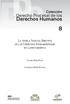 Colección. Derecho Procesal de los. Derechos Humanos. La tutela Judicial Efectiva. de los Derechos Fundamentales en Latinoamérica