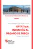 Conservatorio Profesional de Música de Segovia PROGRAMACIÓN DIDÁCTICA