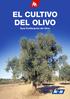 EL CULTIVO DEL OLIVO Guía Fertilización del Olivo
