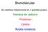 Biomoléculas. Se clasifican básicamente en 4 grandes grupos: Hidratos de carbono Proteínas Lípidos Ácidos nucleicos