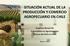 SITUACIÓN ACTUAL DE LA PRODUCCIÓN Y COMERCIO AGROPECUARIO EN CHILE. Angélica Baruel M. Especialista en Agronegocios Oficina del IICA en Chile
