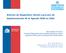 Informe de Diagnóstico Inicial y proceso de implementación de la Agenda 2030 en Chile