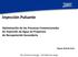 Inyección Pulsante. Optimización de los Procesos Convencionales de Inyección de Agua en Proyectos de Recuperación Secundaria