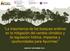 La importancia de los bosques andinos en la mitigación del cambio climático y la regulación hídrica. Impactos y oportunidades para Apurímac