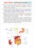 ANATOMÍA INTRODUCCIÓN