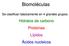 Biomoléculas. Se clasifican básicamente en 4 grandes grupos: Hidratos de carbono Proteínas Lípidos Ácidos nucleicos