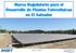 Marco Regulatorio para el Desarrollo de Plantas Fotovoltaicas en El Salvador SIGET