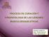 PROCESO DE CURACION Y FISIOPATOLOGIA DE LAS LESIONES MUSCULOESQUELETICAS. Daniela Castillo M. Dipl. Terapia Manual Mst.