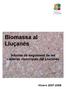 Biomassa al Lluçanès. Informe de seguiment de les calderes municipals del Lluçanès