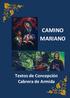 CAMINO MARIANO. Textos de Concepción Cabrera de Armida